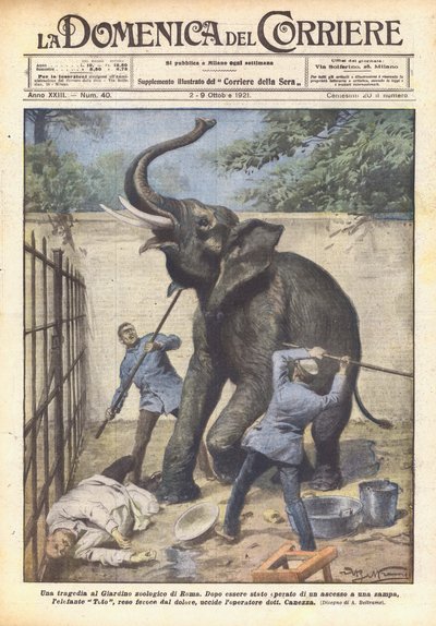 En tragedi i Roms zoologiska trädgård av Achille Beltrame