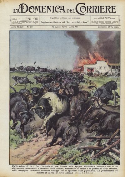 En invasion av tjurar av Achille Beltrame