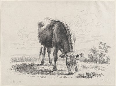 Kobete, 1805., 1805. av Adam von Bartsch