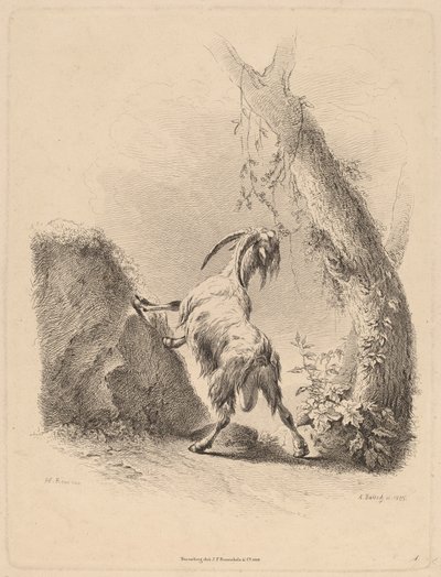 Get i ett landskap, 1805. av Adam von Bartsch