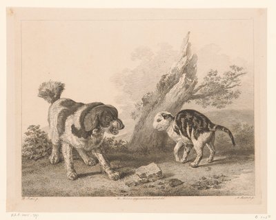 Hund och katt i stridsställning mot varandra Djur efter målningar av holländska mästare (serietitel) Différens animaux graves d