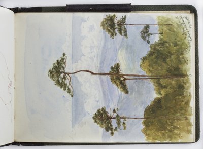 Skissbok med akvareller, teckningar och anteckningar, Mexiko, 1896-1898 (akvarell) av Adela Breton