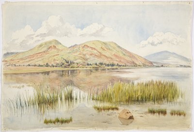 Turumataro och Petzcuarosjön, Michoacan, Mexiko av Adela Breton