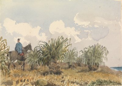 Tussac Grass, Falkland Islands av Admiral Sir Edward Gennys Fanshawe