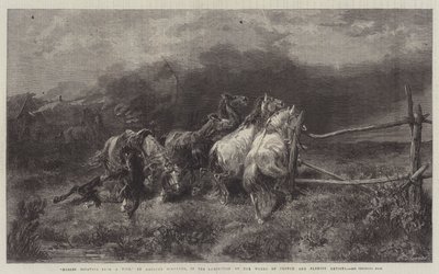 Hästar som flyr från en eld av Adolf Schreyer