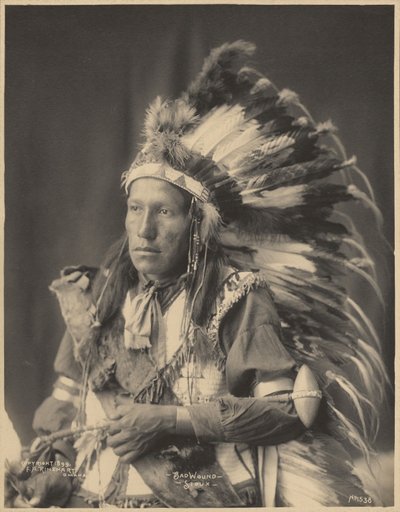 Bad Wound, Sioux av Adolph F. Muhr