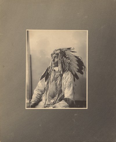 Döda fläckiga hästen, Assiniboines av Adolph F. Muhr