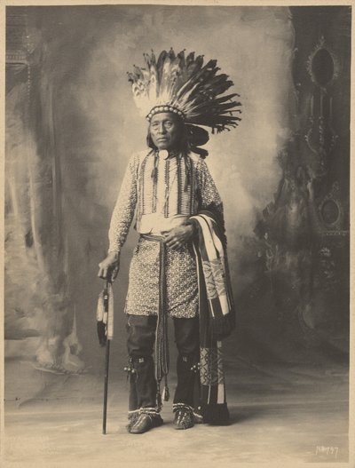 [Indiansk man] av Adolph F. Muhr