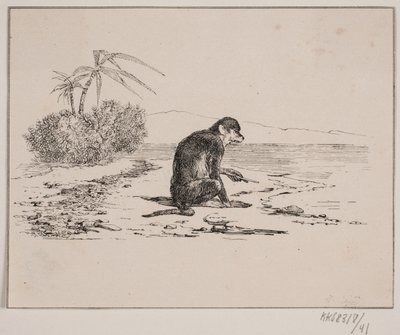 Apkatten av Johan Adolph Kittendorff