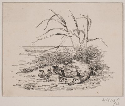 Den dödade ankan av Johan Adolph Kittendorff