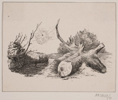 Ederkoppen av Johan Adolph Kittendorff