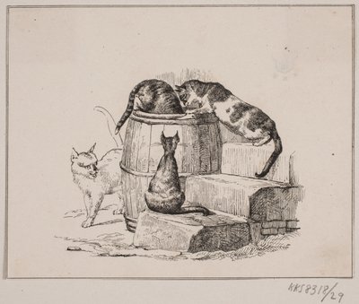 Katterna av Johan Adolph Kittendorff