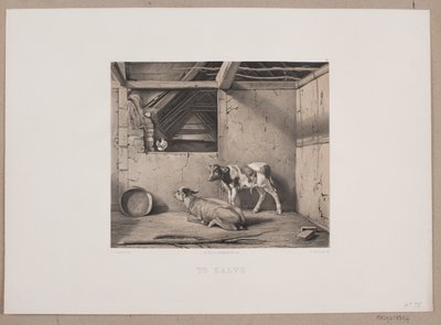 Kalven av Johan Adolph Kittendorff