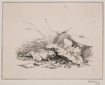 Paddan av Johan Adolph Kittendorff