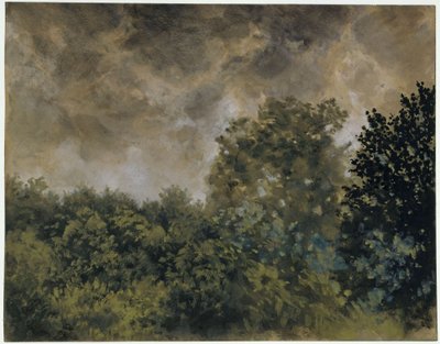 Utsikt över lövskog av Adolph Menzel