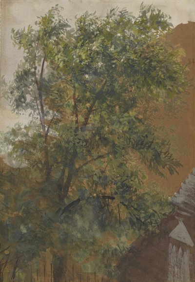 Utsikt från innergårdsfönstret i hans studio på Marienstraße 22 av Adolph Menzel