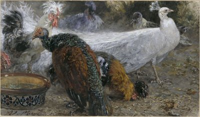 Den vita påfågeln med kalkonhona och hönor. Ur ”Barnalbumet” av Adolph Menzel