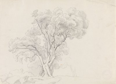 Lövträd av Adolph Tidemand
