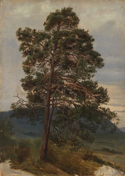 Studie av en tall av Adolph Tidemand