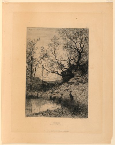 En damm (Roussillons omgivningar) av Adolphe Appian