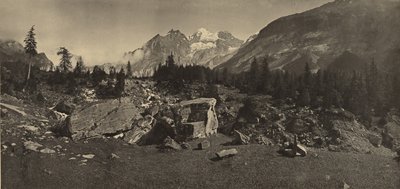 [Alpine Landscape] av Adolphe Braun