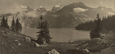[Alplandskap] av Adolphe Braun