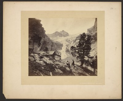 [Utsikt över Alperna från Faulhorn] av Adolphe Braun