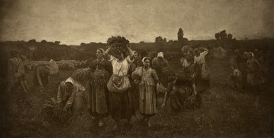 Kallar in Gleaners av Adolphe Braun