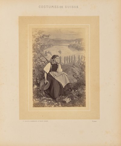 Kantonen Schaffhausen av Adolphe Braun