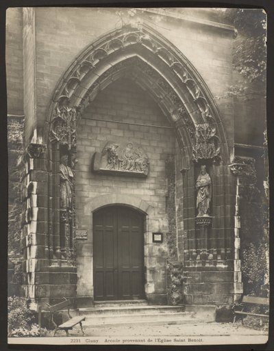 Cluney av Adolphe Braun