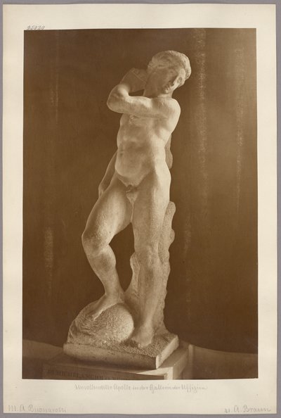 Florens: Michelangelos ofullbordade Apollo i Galleria degli Uffizi av Adolphe Braun