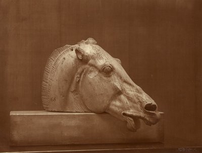 [Hästhuvud från Parthenons fronton, British Museum] av Adolphe Braun