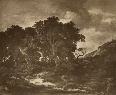 Landskapsmålning av Ruysdael av Adolphe Braun