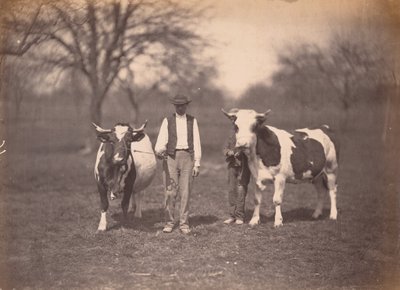 Landskap,ca. 1864 (foto) av Adolphe Braun