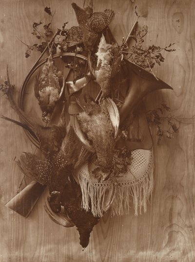 Fasan och ripa, ca. 1865. av Adolphe Braun