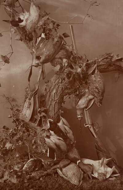 [Still Life: Dead Game] av Adolphe Braun