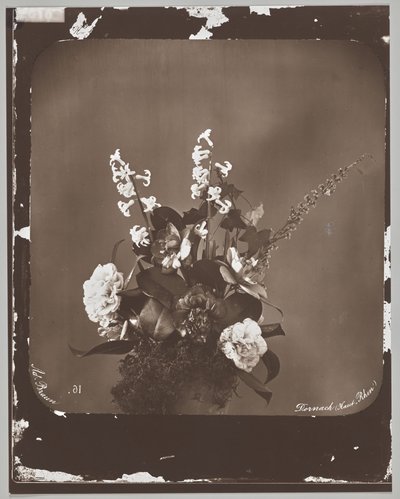 Utan titel (blomsterarrangemang) av Adolphe Braun