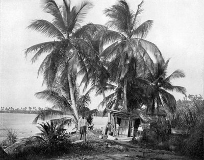 På vägen till Blue Hole, Port Antonio, Jamaica, c1905. av Adolphe Duperly and Son