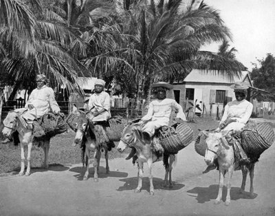 På väg hem från marknaden, Jamaica, c1905. av Adolphe Duperly and Son