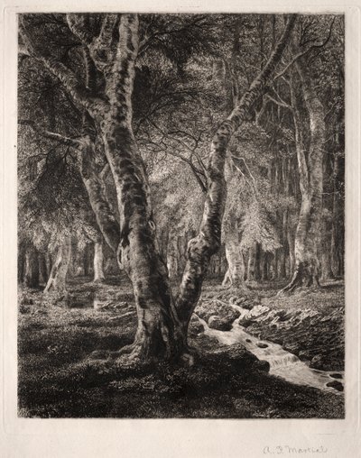 Forest of Pierrefonds av Adolphe Théodore Jules Martial Potémont