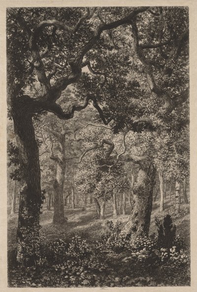 I skogen av Adolphe Théodore Jules Martial Potémont