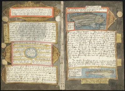 Adriaen Coenens Visboeck - KB 78 E 54 - folios 370v (vänster) och 371r (höger) av Adriaen Coenen