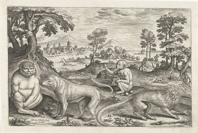 Apor Fyrbenta djur (serietitel) Animalivm Qvaddrvpedvm (serietitel) av Adriaen Collaert