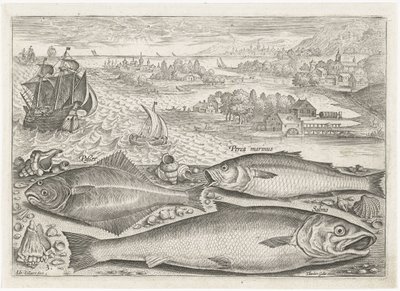 Tre fiskar på stranden Fiske (serietitel) Piscium vivae-ikoner (serietitel) av Adriaen Collaert