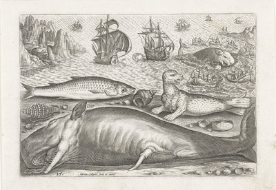 En multe, ett sjölejon och en val på stranden Fiske (serietitel) Piscivm vivae-ikoner (serietitel) av Adriaen Collaert
