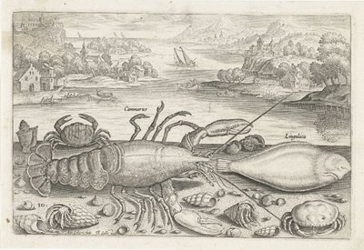 En fisk och några kräftdjur på stranden Fiske (serietitel) Piscivm vivae-ikoner (serietitel) av Adriaen Collaert