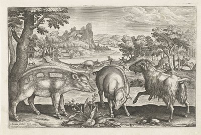 Get och galt Fyrbenta djur (serietitel) Animalivm Qvaddrvpedvm (serietitel) av Adriaen Collaert