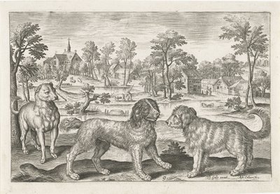 Hundar Fyrbenta djur (serietitel) Animalivm Qvaddrvpedvm (serietitel) av Adriaen Collaert