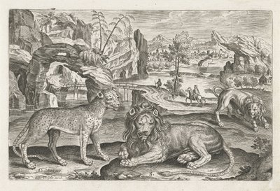 Lejon och leopard Fyrbenta djur (serietitel) Animalivm Qvaddrvpedvm (serietitel) av Adriaen Collaert