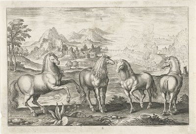 Hästar Fyrbenta djur (serietitel) Animalivm Qvaddrvpedvm (serietitel) av Adriaen Collaert